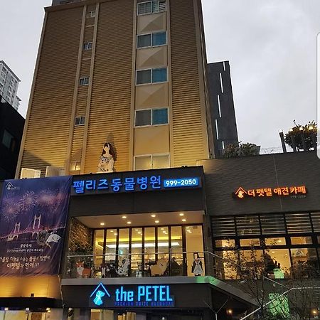 The Petel Premium Suite Pusan Exteriér fotografie