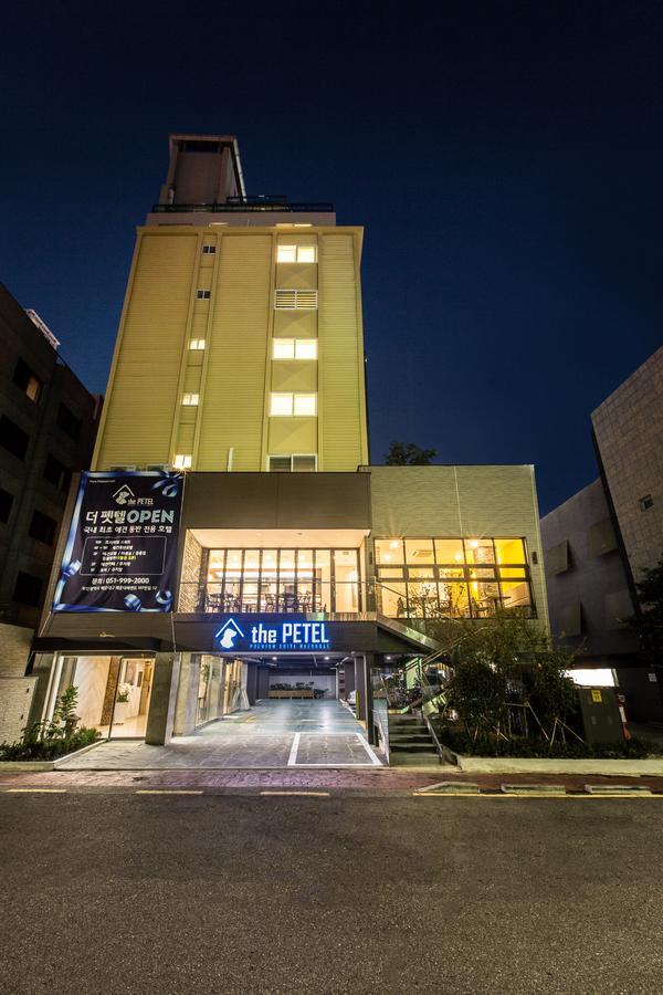 The Petel Premium Suite Pusan Exteriér fotografie