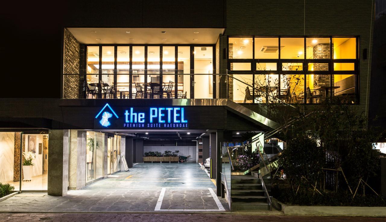 The Petel Premium Suite Pusan Exteriér fotografie