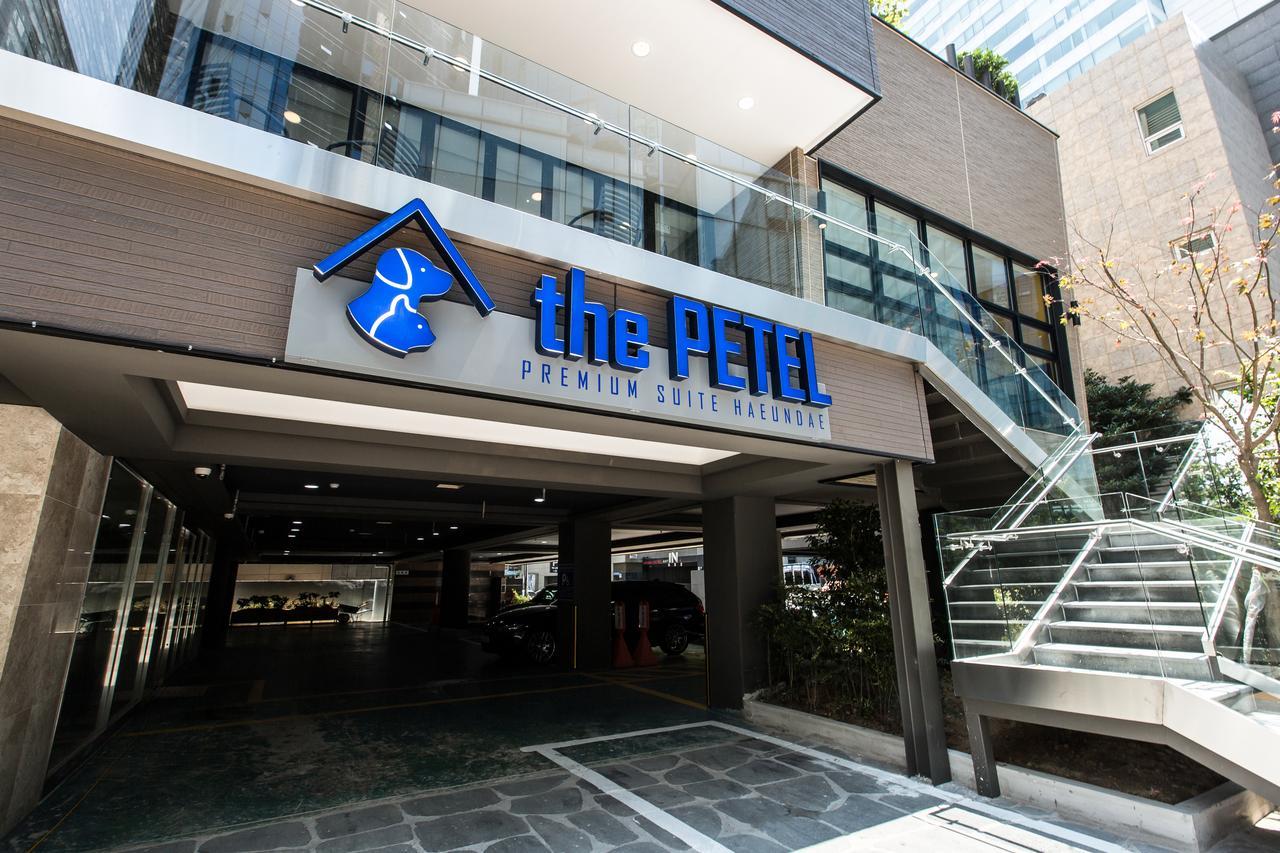The Petel Premium Suite Pusan Exteriér fotografie