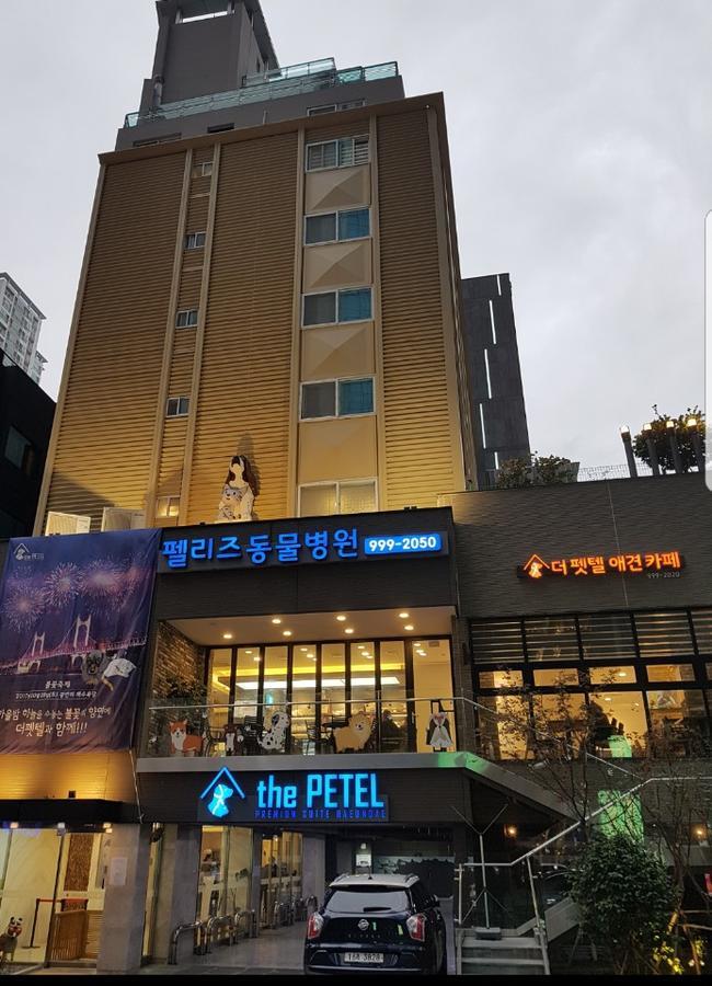 The Petel Premium Suite Pusan Exteriér fotografie